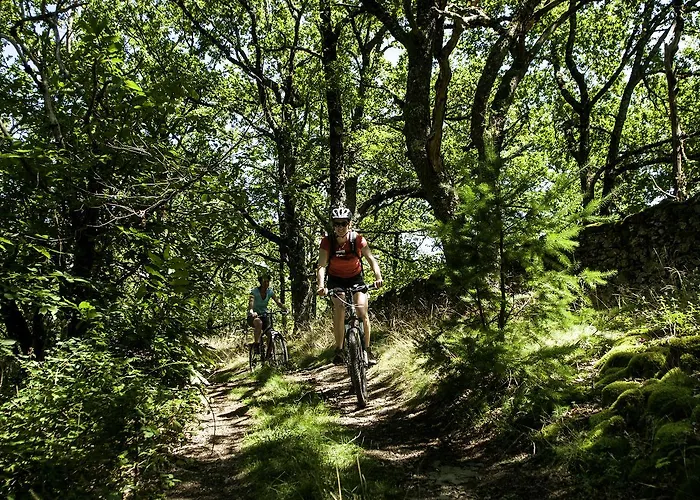 Le Village Goelia Saint-Geniez-dʼOlt